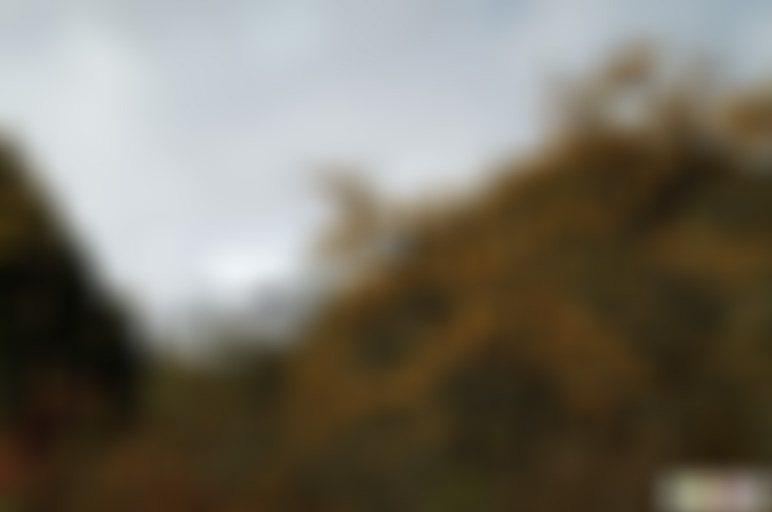 四川乐山峨眉山景区迎宾广场景点介绍1