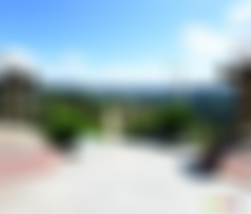 四川广元翠云廊隆中对柏景区景点介绍1