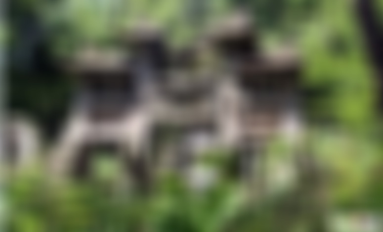 四川攀枝花花舞人间百花园景点介绍1