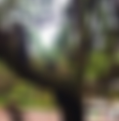 四川巴中光雾山天马恋岩石景点介绍1