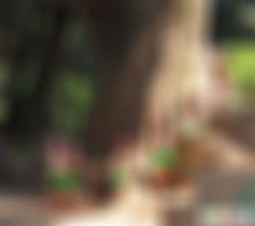 四川广元翠云廊帅大柏景区景点介绍1