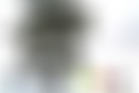 四川攀枝花格萨拉母亲树景点介绍1