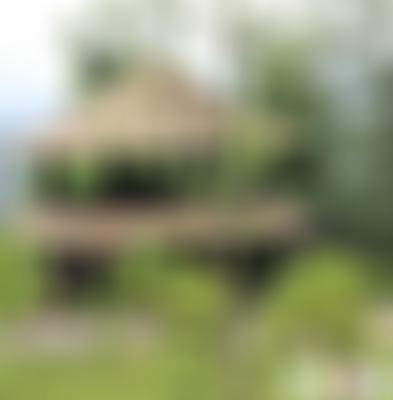 四川广元翠云廊观云亭景点介绍1