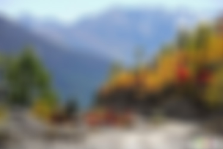 四川雅安喇叭河核桃坪度假庄园景点介绍1