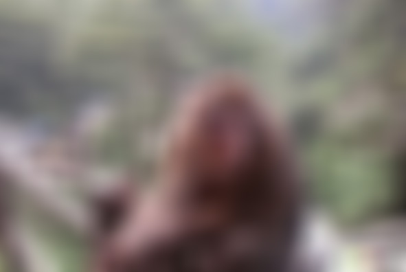 四川乐山凤凰堡圣积晚钟景点介绍1