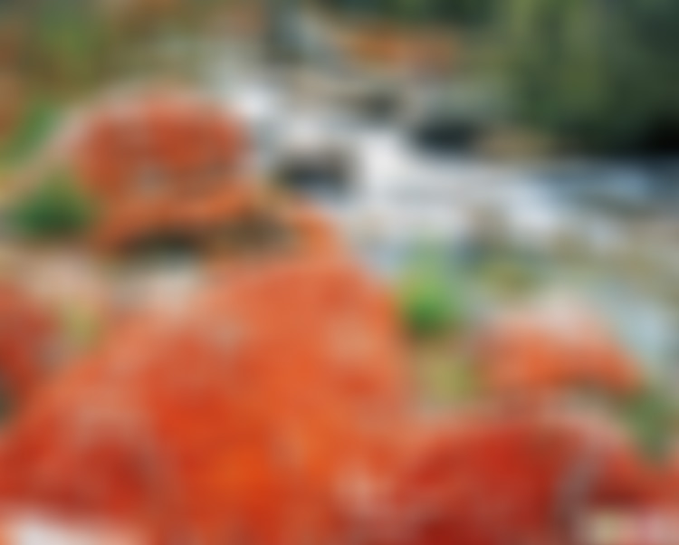 四川阿坝四姑娘山长坪沟红石阵景区景点介绍1