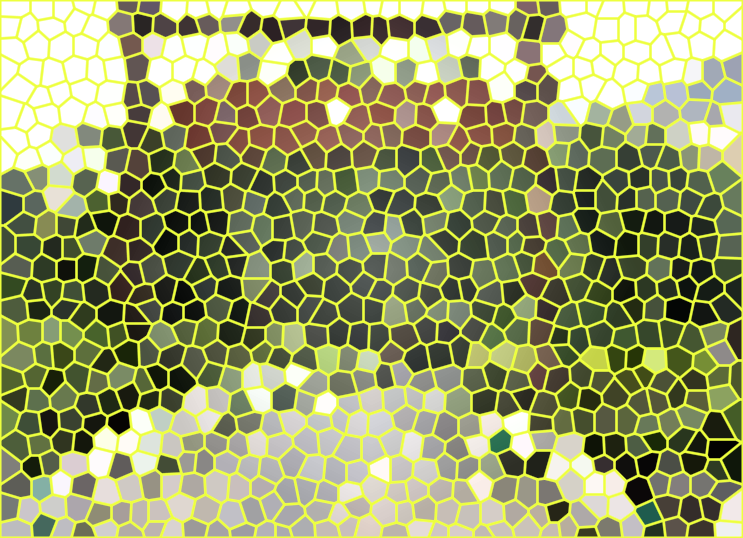 四川成都神仙树公园景点介绍1