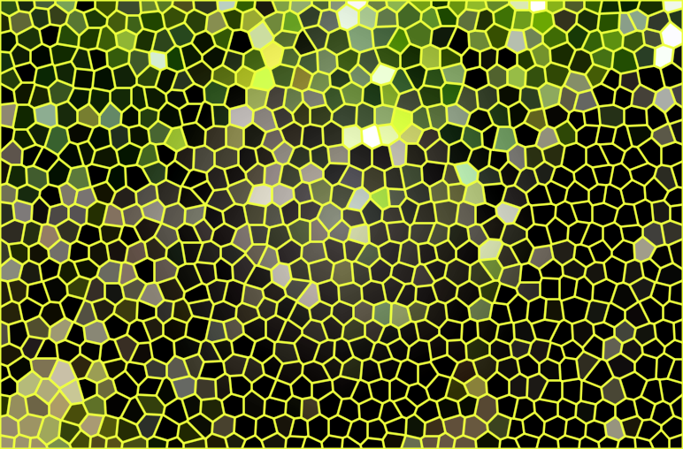 四川成都天台山花石林景点介绍1