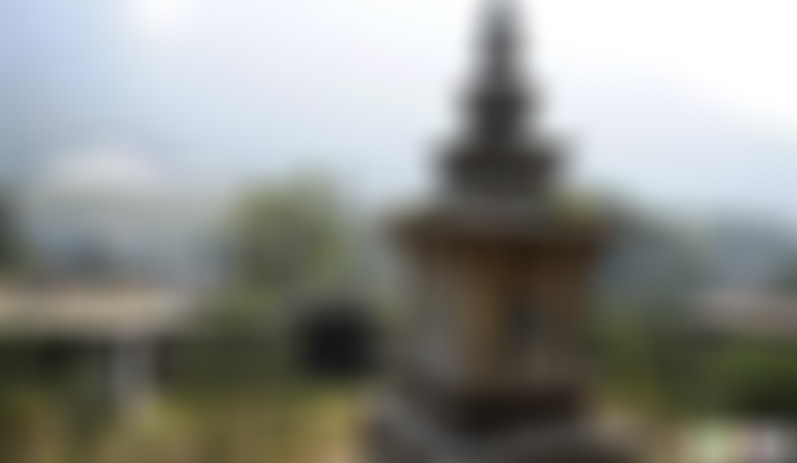 四川遂宁岳飞后裔精忠祠景点介绍1