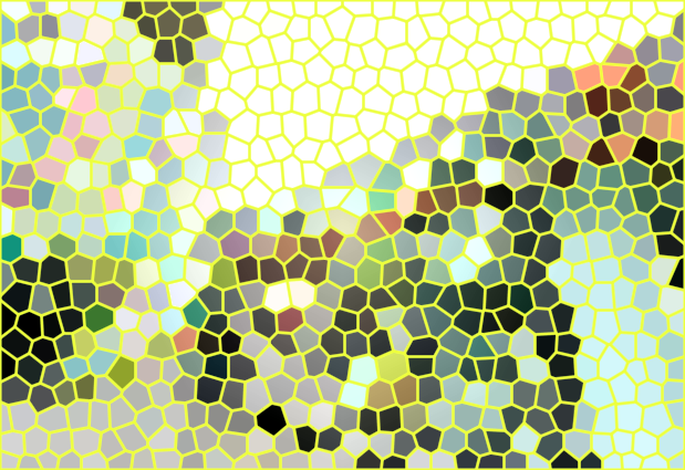 四川成都拾野自然博物馆景点介绍1