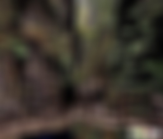 四川攀枝花新山傈僳族旅游村景点介绍1