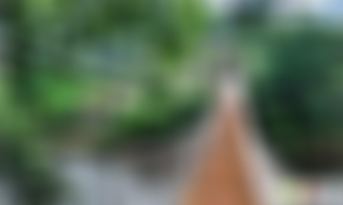 四川甘孜佛珠大峡谷(108条沟)景点介绍1