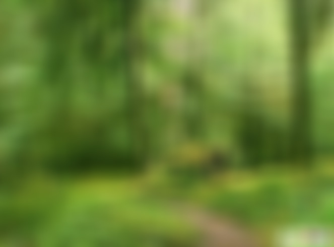 四川自贡富北双溪湖风景区景点介绍1