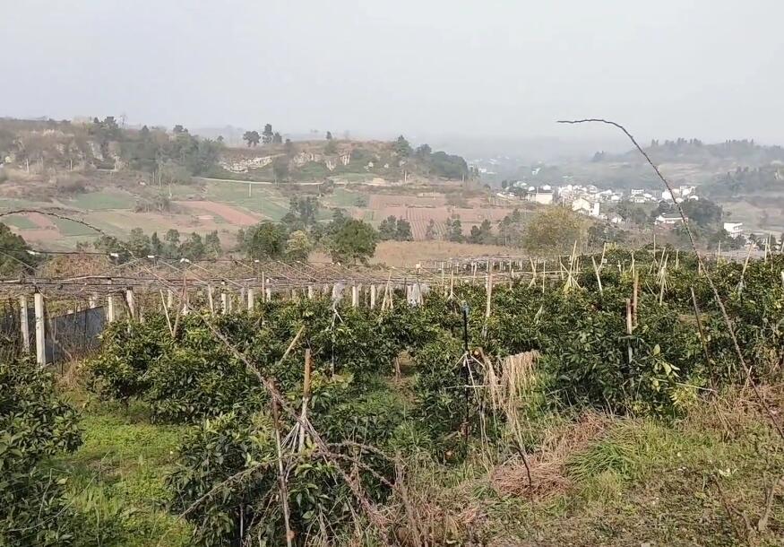 四川内江古宇湖三生石景点介绍1