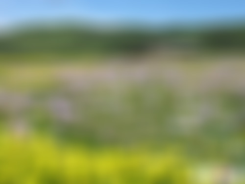 四川眉山瓦屋山王河漂流景点介绍1