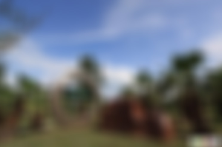 四川南充南充五龙庙文昌阁景点介绍1