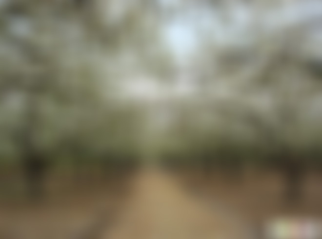 四川阿坝四姑娘山双桥沟人参果坪景点介绍1