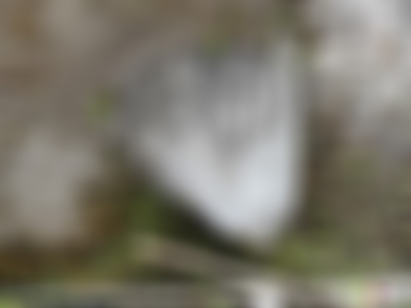 四川南充乳泉山景区(小方山)景点介绍1