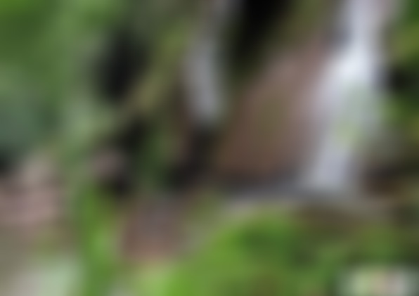 四川宜宾上罗龙抱山自然生态旅游区景点介绍1