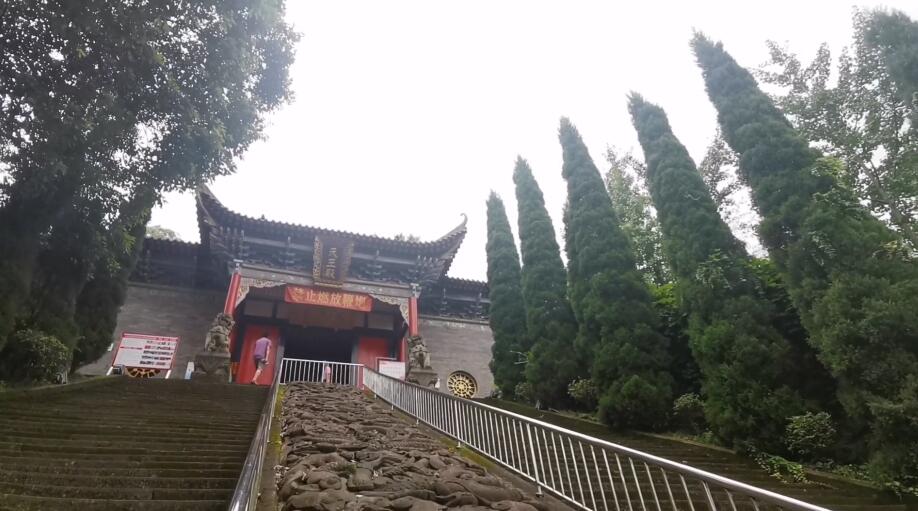 四川攀枝花四川攀枝花苏铁国家级自然保护区景点介绍1