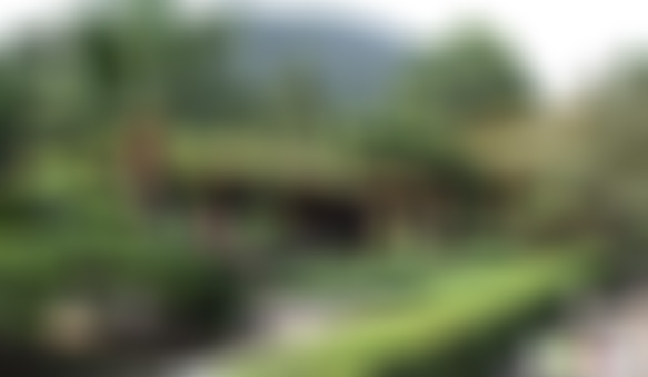 四川广元将军村(四川美丽古村)景点介绍1