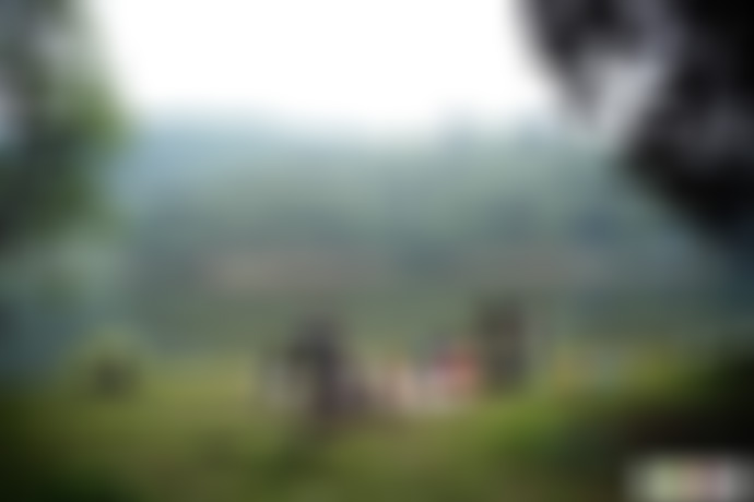 四川宜宾塘坝清溪沟茶文化主题公园景点介绍1