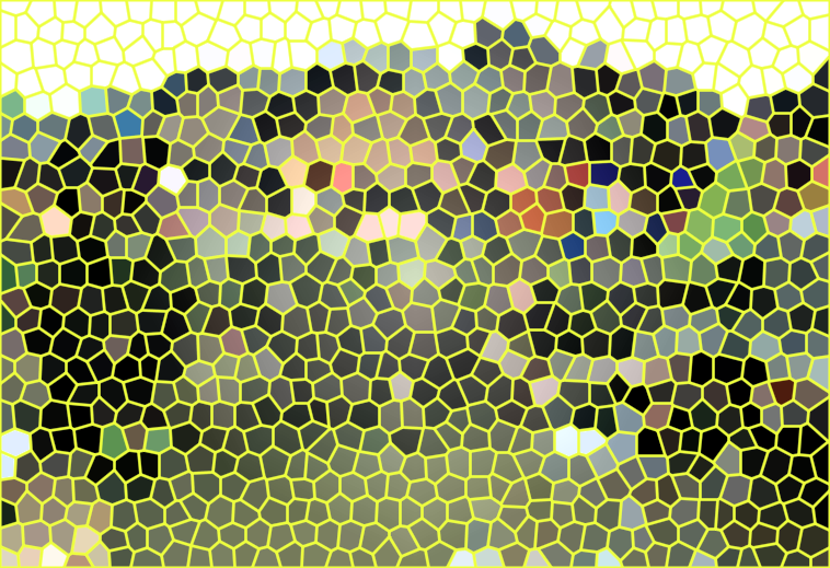 四川雅安碧水源农家乐景点介绍1