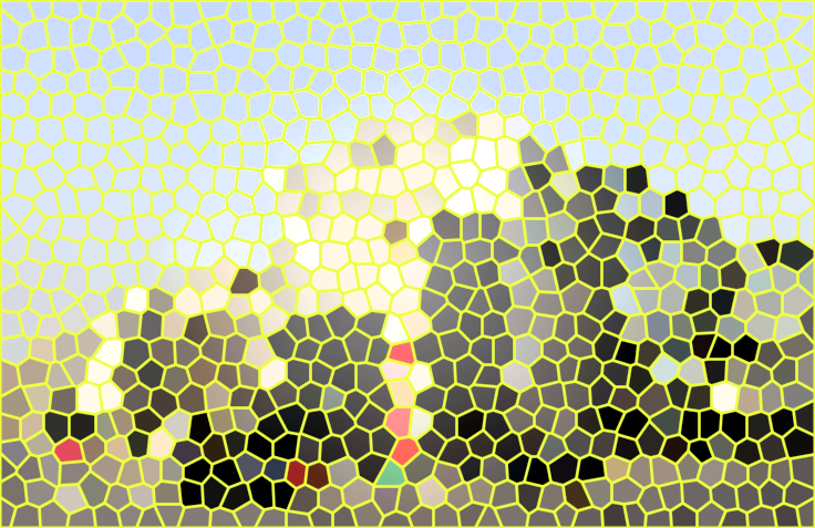 四川成都华希昆虫博物馆景点介绍1