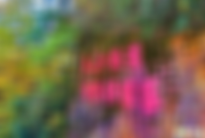 四川凉山凉山泸沽湖风景区景点介绍1