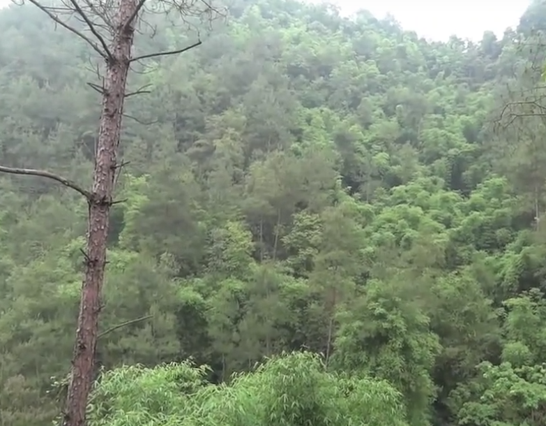 四川自贡飞龙峡风景区(国家2A级)景点介绍3