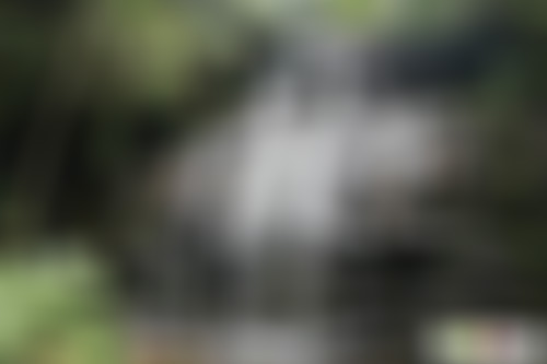 四川泸州打古小镇(苕粉之乡)景点介绍1