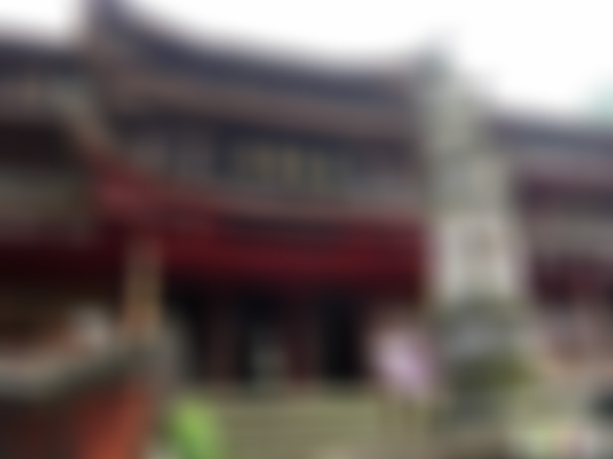 四川宜宾秘境大雪山湿地森林景点介绍1