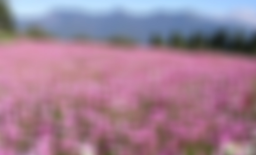 四川达州莲花湖公园(石莲花水库)景点介绍1