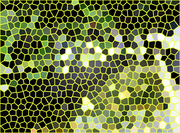 四川成都新联水产三文鱼体验中心景点介绍1