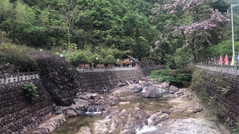 四川乐山峨眉山自然生态猴区景点介绍1