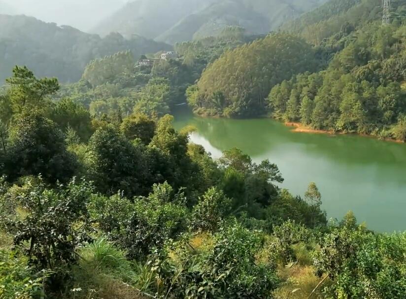 四川凉山烟雨鹭洲湿地公园(邛海湿地三期)景点介绍1