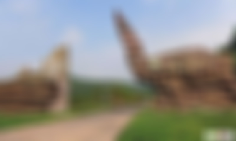 四川遂宁中华侏罗纪公园(硅化木国家地质公园)景点介绍1