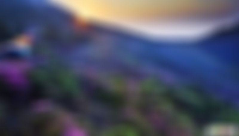 四川凉山索玛花波洛景区(金阳波洛索玛花海)景点介绍1