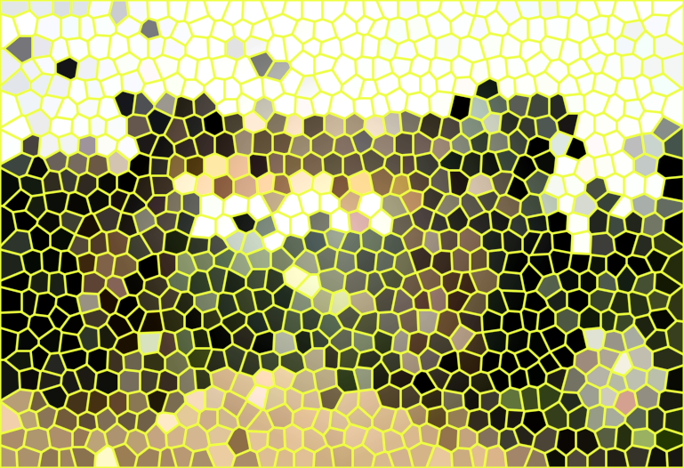 四川雅安雅露植物园景点介绍1