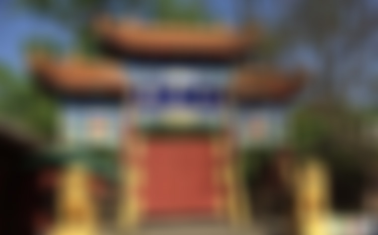 四川遂宁龙凤古镇月老树景区景点介绍1