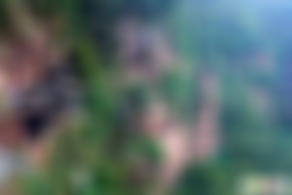 四川巴中川陕革命根据地博物馆(国家4A级)景点介绍1