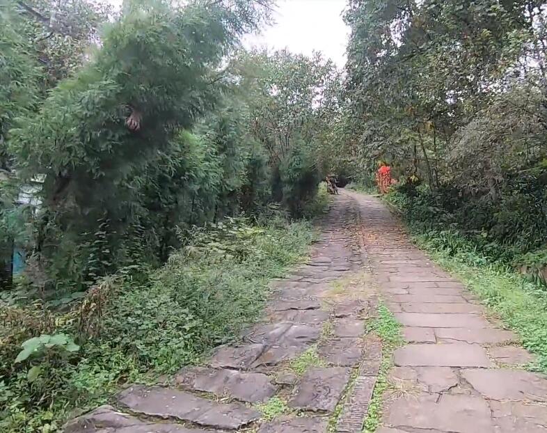 四川德阳白马关金牛古道景点介绍1