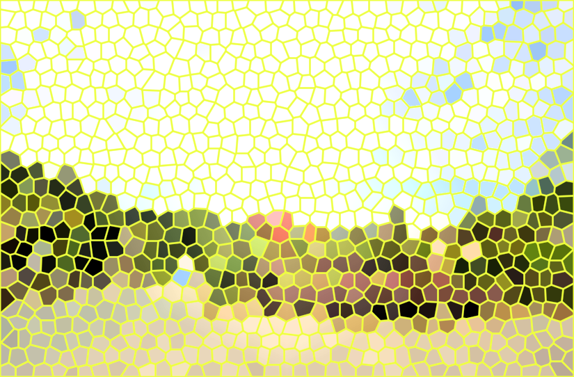 四川成都中华蝴蝶生态城景点介绍1