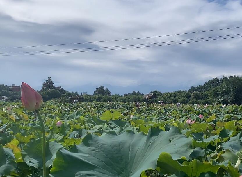 四川成都盛地农庄景点介绍1