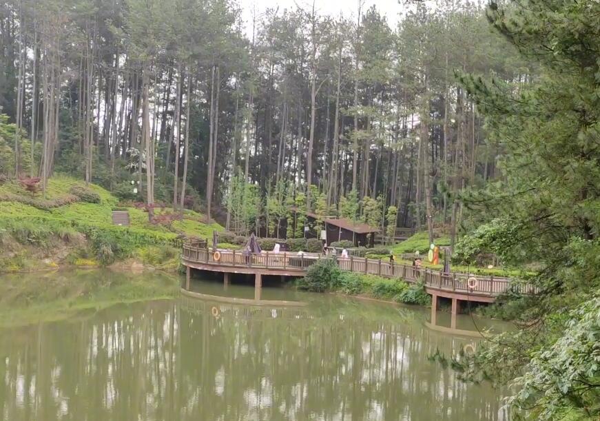 四川成都宝山村龙门山风景区景点介绍1