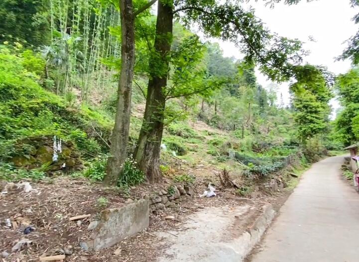 四川雅安看灯山风景区景点介绍1