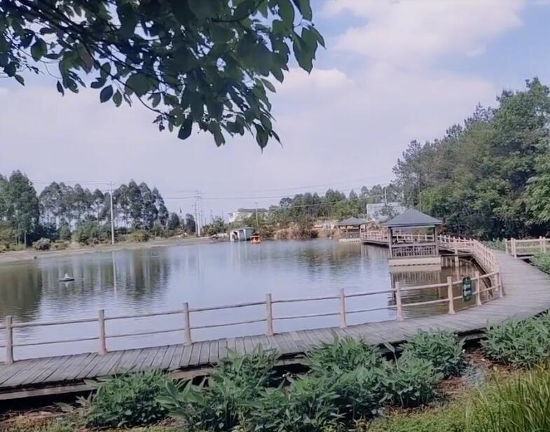 四川绵阳戈家桃林景区(农家乐)景点介绍1