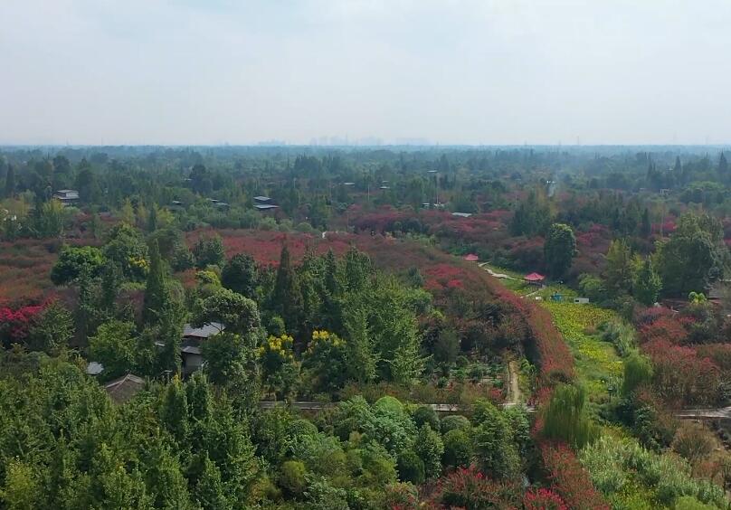 四川成都锦江三圣花乡景点介绍1
