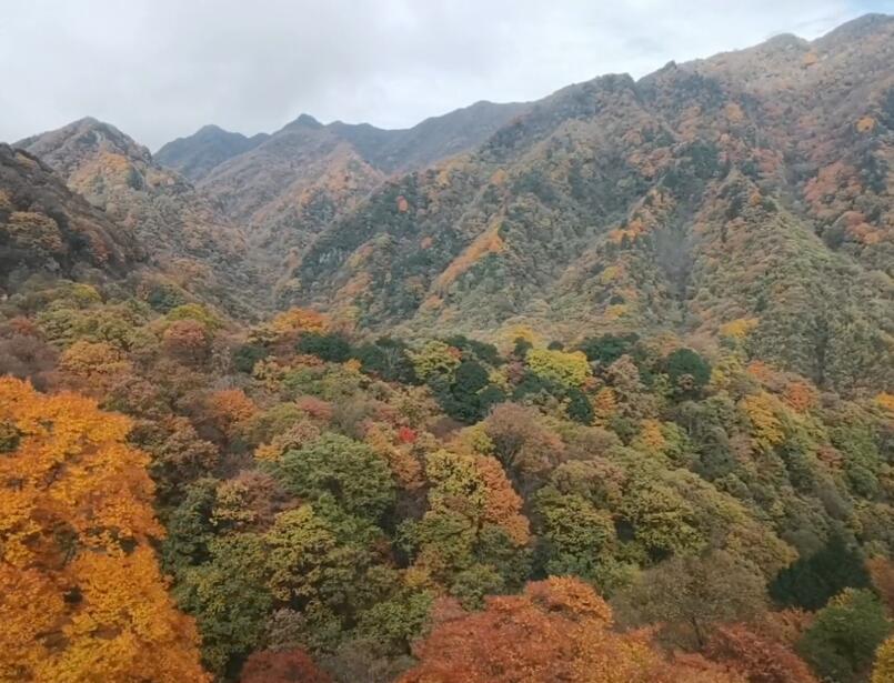四川成都东湖公园景点介绍1