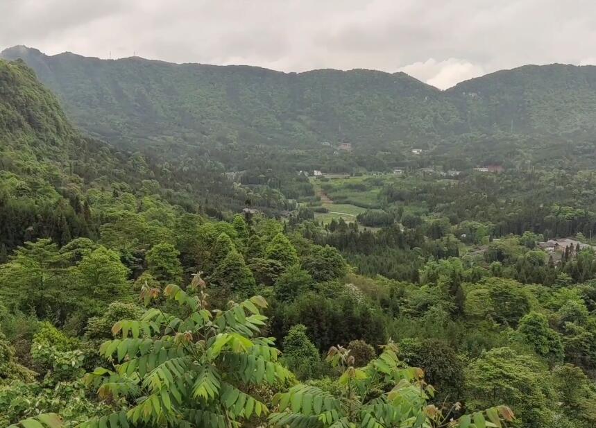 四川雅安围塔漏斗景区景点介绍1